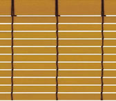 ES-12(カラシ)
